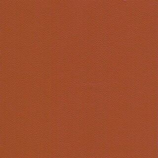 4848 - coral