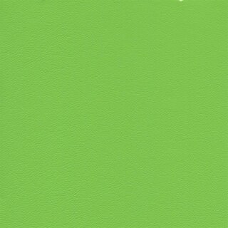 7791 - kawasakigrün