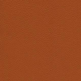 4856 - safran