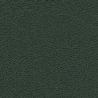 7796 - grünspan