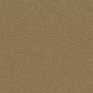 2519D - sattelbraun hell