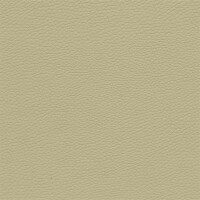 1881D - oyster