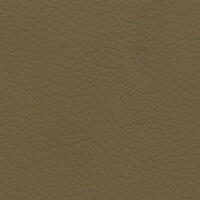 3412 - kaschmirbeige / bucksin