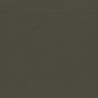 7080 - elefant