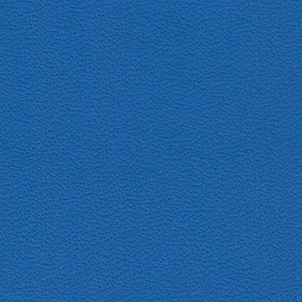9259 - blue amon