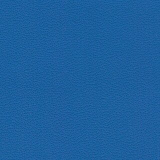 9259 - blue amon