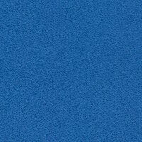 9259 - blue amon
