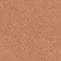 4208 - beige