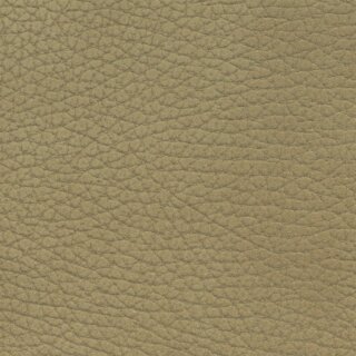 2420 - dune