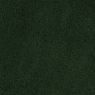 7437 - forest