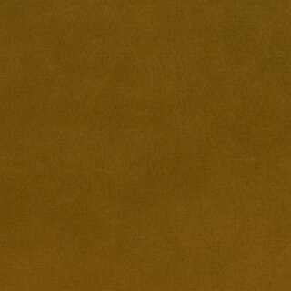 2828 - maple