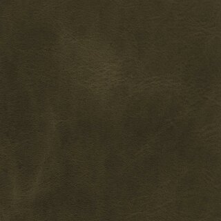 7247 - fango