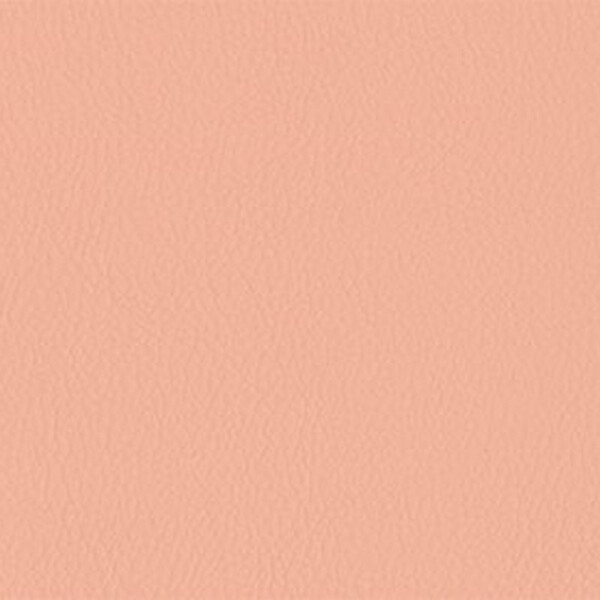 206 x 227 - rosa