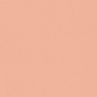 206 x 227 - rosa