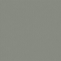 206 x 231 - grau