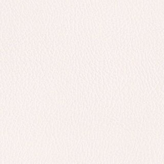206 x 229 - platin