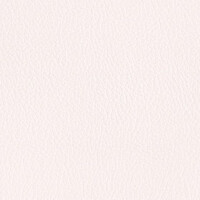206 x 229 - platin
