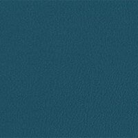 206 x 237 - petrolblau