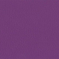 206 x 238 - violett