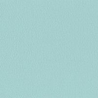 206 x 233 - pastelltürkis