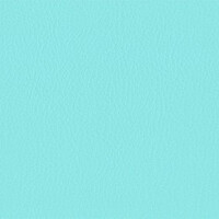 206 x 234 - helltürkis