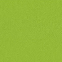 206 x 236 - limegreen