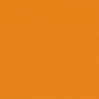 206 x 203 - mandarine