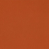 206 x 204 - kupfer