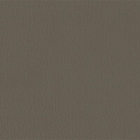 206 x 224 - elefant