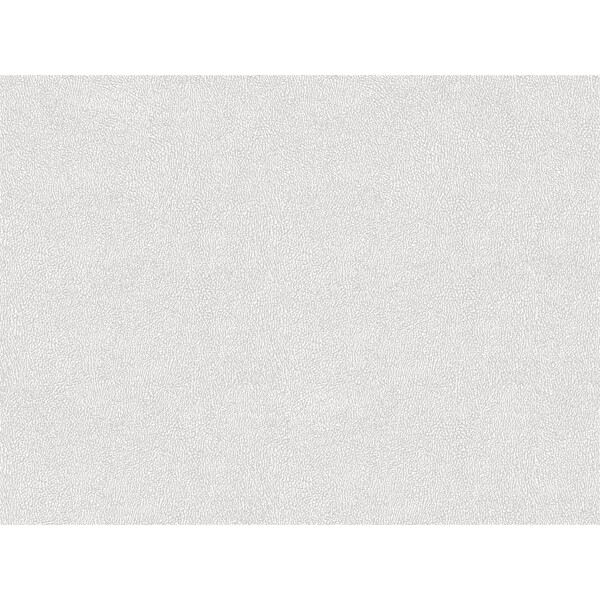 Skin 01