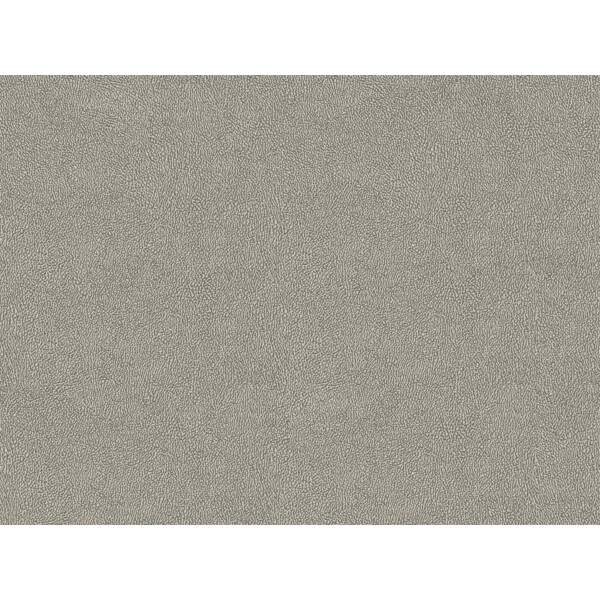 Skin 02