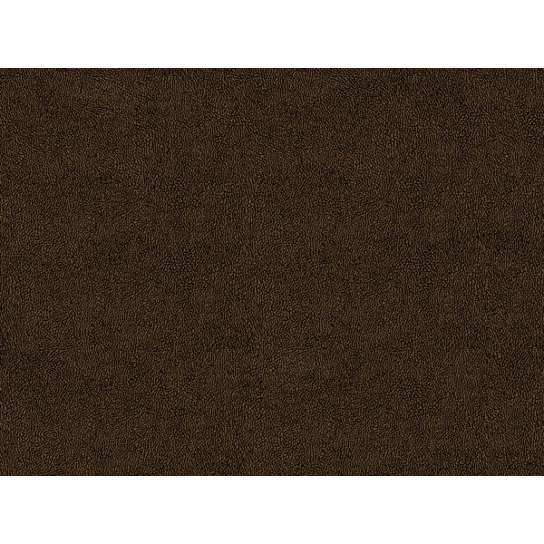 Skin 04