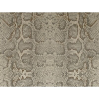 Snake 01