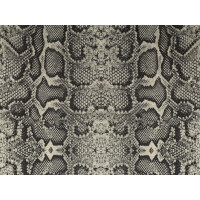 Snake 02
