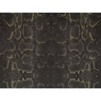Snake 03