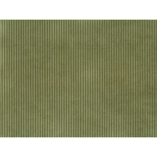 28 olive