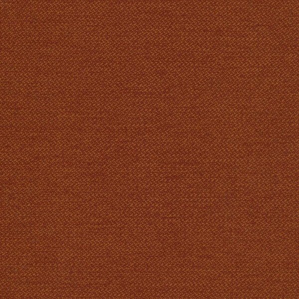 729 ziimt