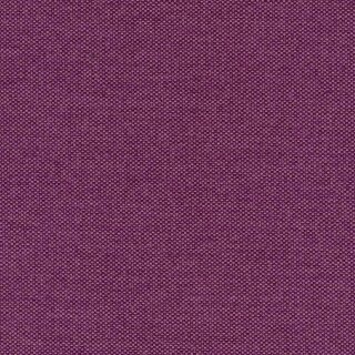 79 - violett