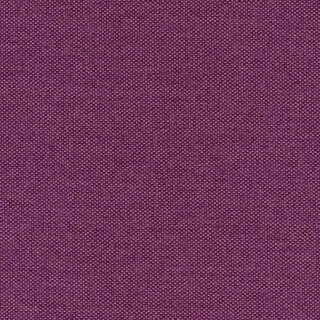 79 - violett