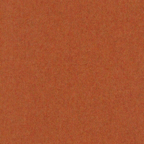 29 - apricot