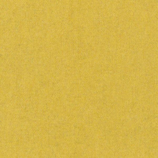25 - zitrone
