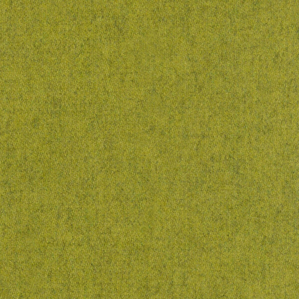 08 - kiwi