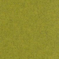 08 - kiwi
