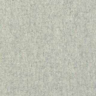 06 - platin