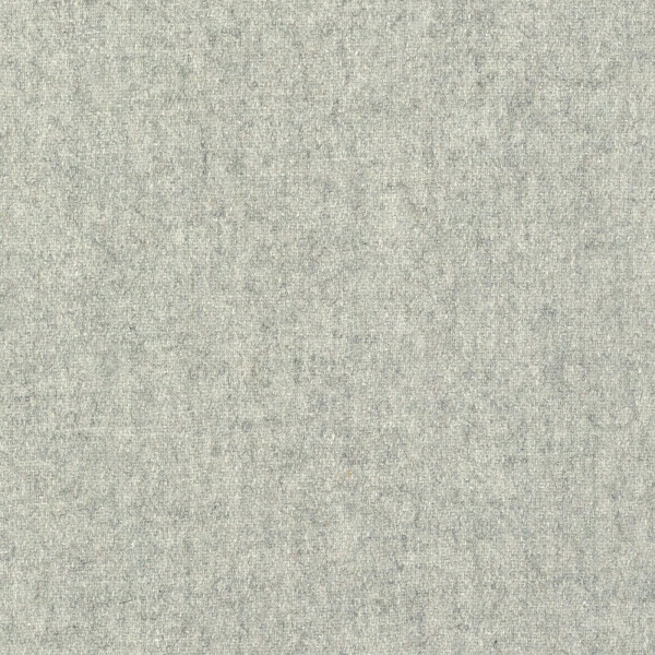 06 - platin
