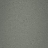 238 x 2179 - grau