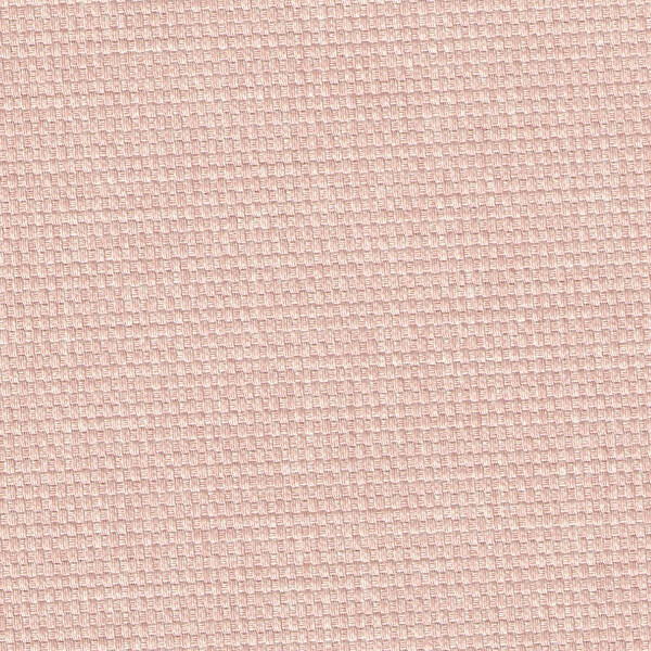 66 rosa
