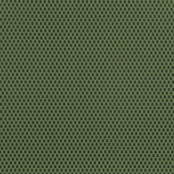 38 - pistazie