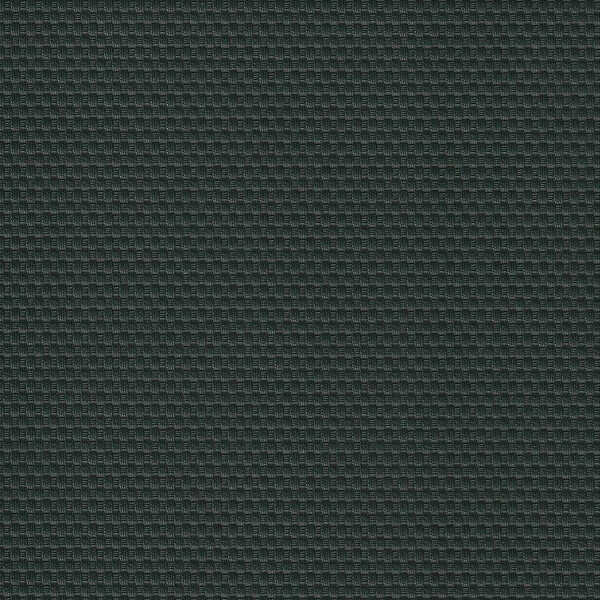 6209 grün