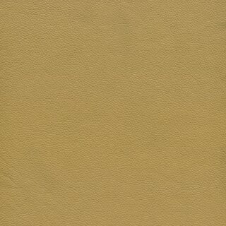 1160 - desert